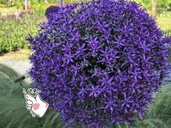 -上海植物园-4号门售票处