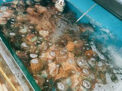 -名超海鲜烧烤大排档