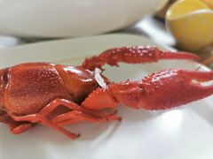 -龙虾奇迹(大华三路店)