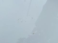 -上海德星奔驰(江杨南路店)