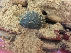 -安发瞧麻辣烫(总店)