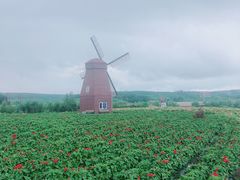 -北纬44度·金珠花海休闲农业旅游景区