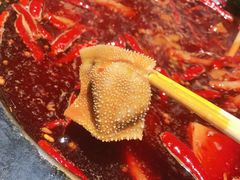 -蜀大侠火锅(建设路第五大道店)