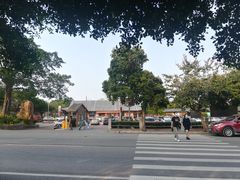 -大湾区中央湿地公园