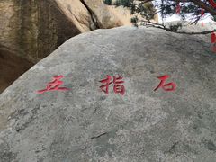 -崂山仰口游览区