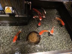 -0776食堂·京城创意菜(七里庄店)