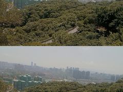 -金鸡山公园