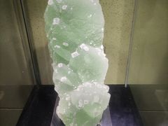 -中华赏石园