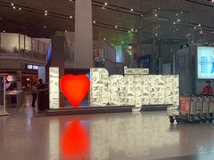 -日上免税店(三径路t3店)