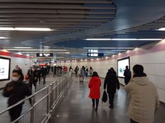 -大望路(地铁站)