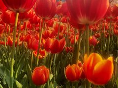 景点-静安雕塑公园