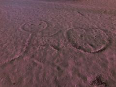 -人民防洪胜利纪念塔