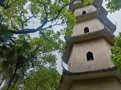 -江心屿景区