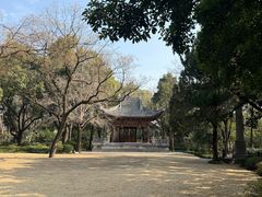-汇龙潭