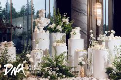 -DNA Wedding 婚礼记(上海店)