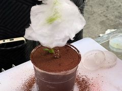 -沙胆彪炭炉牛杂煲(成都玉林店)