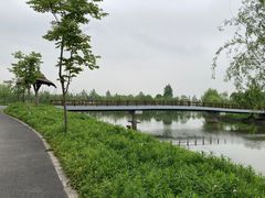-广富林郊野公园