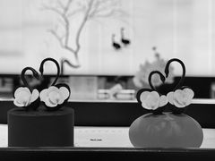 -BLACKSWAN黑天鹅(环球店)