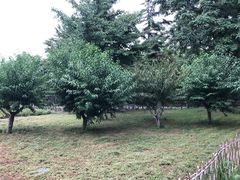 -丰台科技园生态主题公园