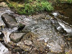 -龙井壹号·茶缘山景宴(龙井村店)