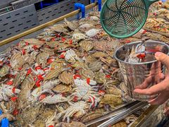 -半岛听涛蒸汽海鲜自助(K11店)