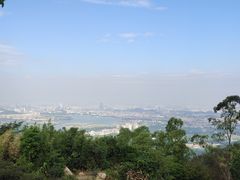 -东莞市大岭山森林公园