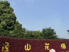 -径山花海