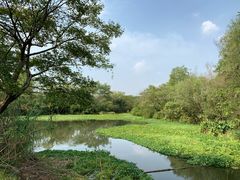 -杭州西溪宾馆-松露西餐厅
