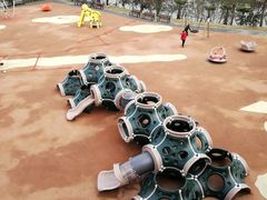 -枫香湖儿童公园