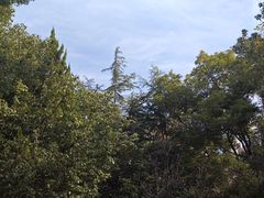 -堤角公园