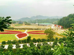 android_upload_pic-望天湖