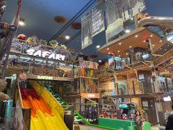 -卡通尼·Safari非洲探索乐园·生日会(金桥国际商业广场店)