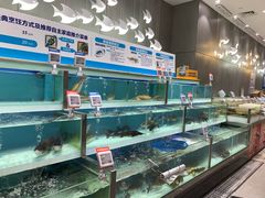 水产区-盒马鲜生(财富中心店)