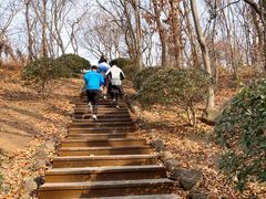 -南京市江宁方山