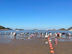 -大京沙滩