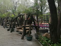 -大鹅岛绿色生态美食园