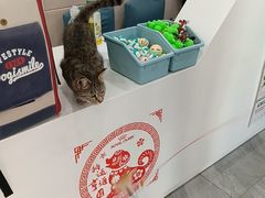 -宠颐生宠物医院·综合诊疗(先锋分院)