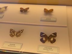 -浦乐汇·汤泉水世界