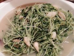 豌豆苗，真的有豌豆的清香！-天怡·鱼工厂(临江店)