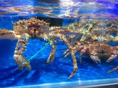 -盒马X会员店(王府井奥莱UP TOWN店)