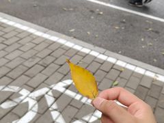 -雙冲柳州螺蛳粉&酸嘢&桂林米粉(簋街店)