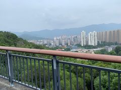 -金鸡山公园