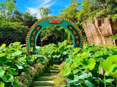 -广州莲花山旅游区
