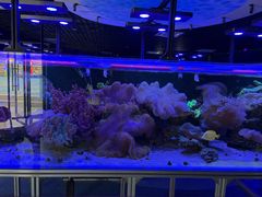-海合安武汉极地海洋公园