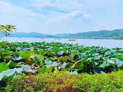 -湖畔居茶楼(湖滨店)