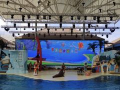 -三亚海昌梦幻海洋不夜城