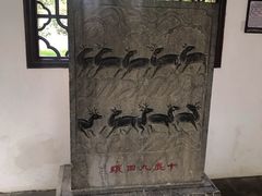-上海醉白池公园