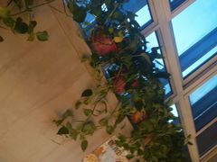 -比格比萨自助(国展店)