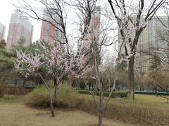 -迎泽公园