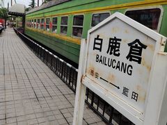 -白鹿原·白鹿仓